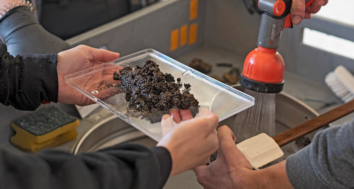 Soil samples are prepared at the dig site using sieves with finer and finer mesh sizes Soil samples are prepared at the dig site using sieves with finer and finer mesh sizes