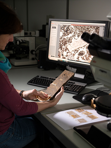 A researcher examines thin sections of the impregnated block samples A researcher examines thin sections of the impregnated block samples