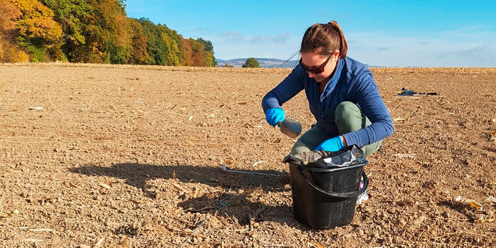 Plant’s favorite bacteria to promote crop yield.