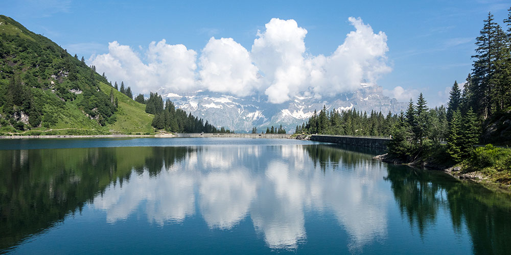 Carbon-neutral “biofuel” from lakes | University of Basel