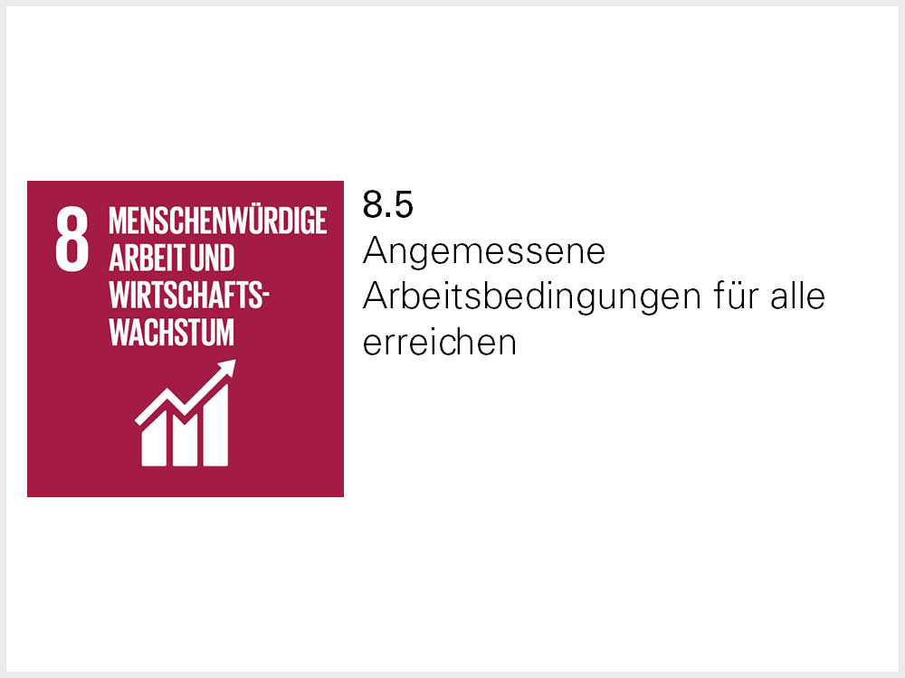 Sustainable Development Goals 8.5 Sustainable Development Goals 8.5