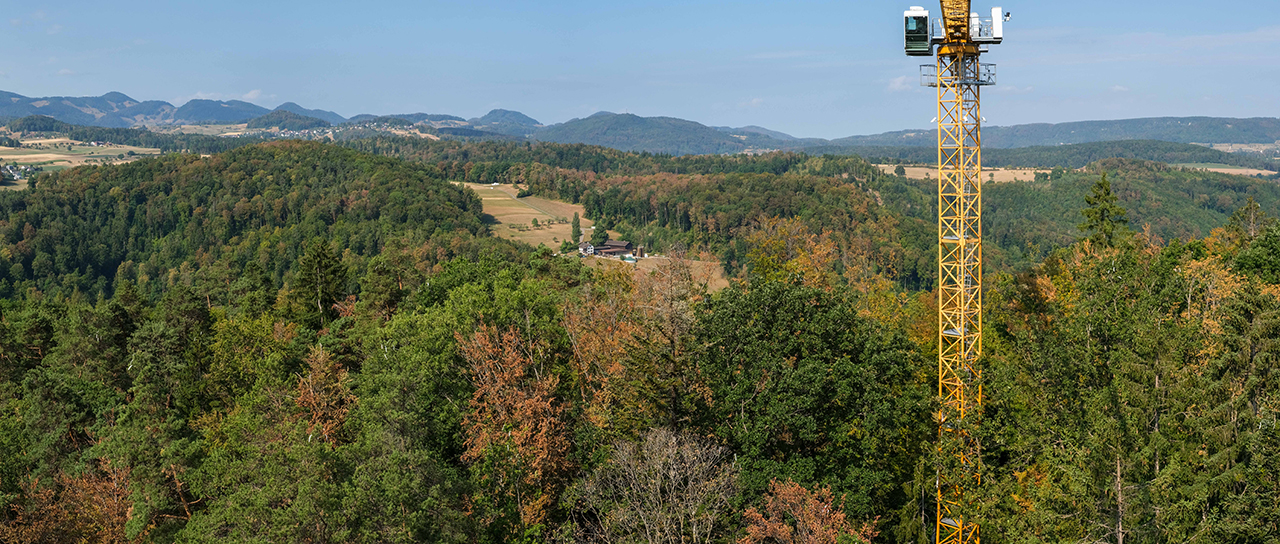 Weite Aussicht über eine bewaldete Hügellandschaft mit früh verfärbten und teilweise kahlen Bäumen; im Vordergrund steht ein gelber Kran.