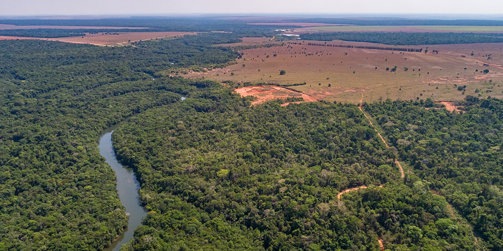 Expansion der Agrarflächen gefährdet Klima und Biodiversität