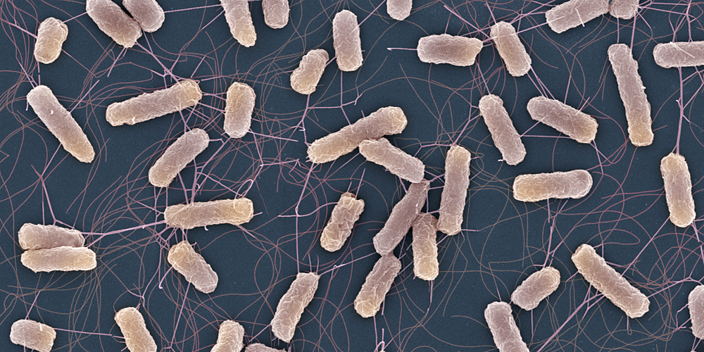 Why antibiotics can fail even against non-resistant bacteria