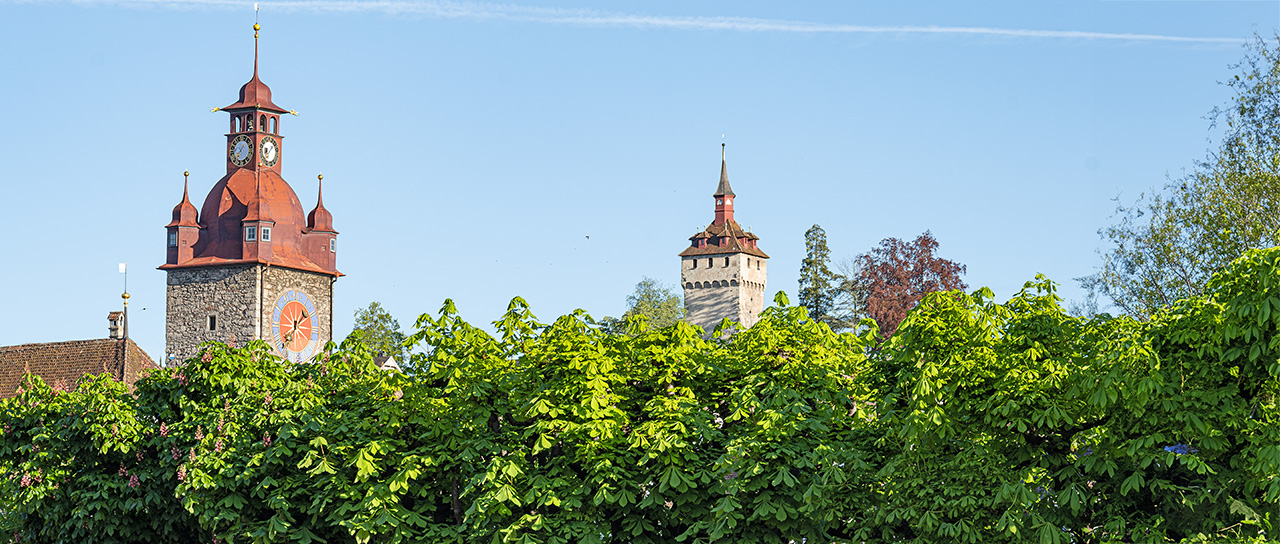 Rathausturm hinter Bäumen, Luzern