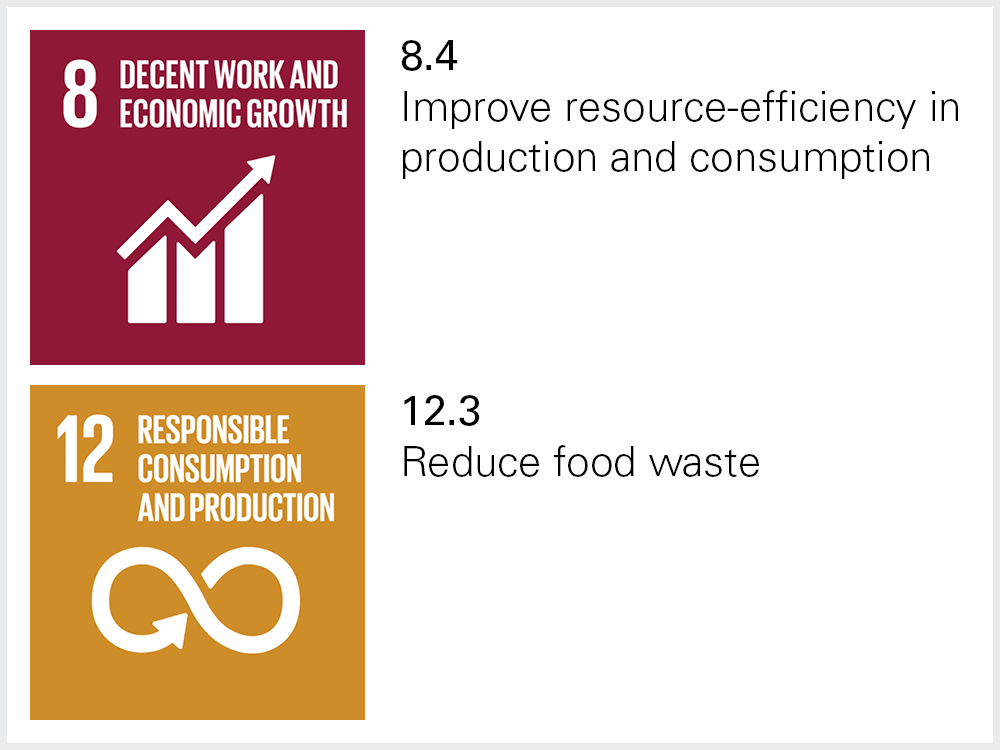 Icons of SDG 8.4 and 12.3 Icons of SDG 8.4 and 12.3