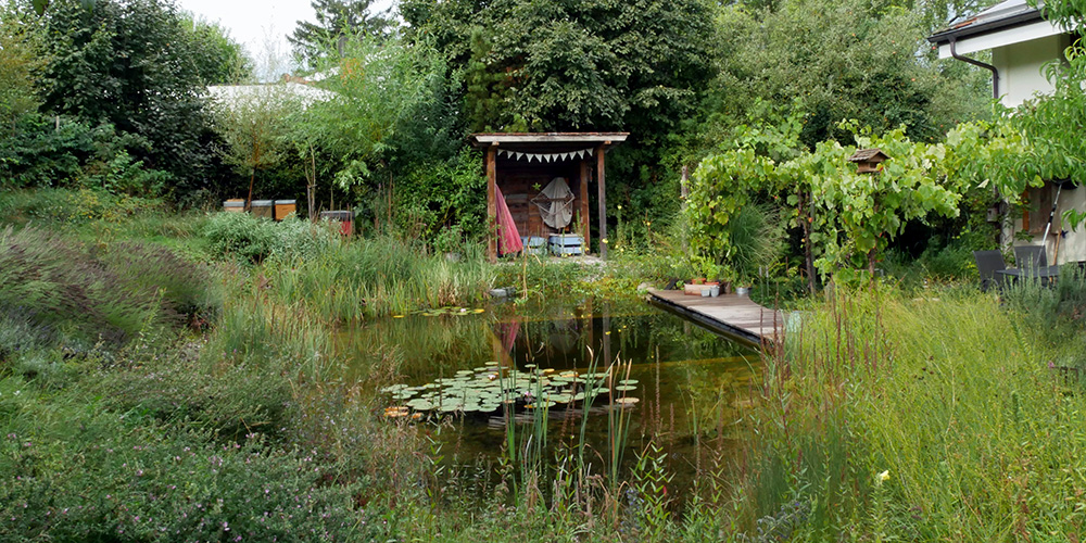 View over the bathing pond in Philippe Ammann's nature garden. View over the bathing pond in Philippe Ammann's nature garden.