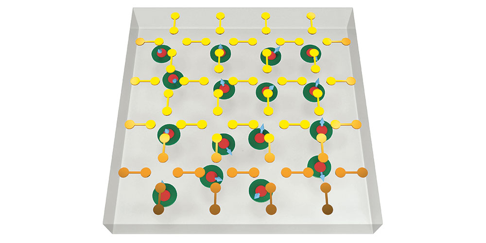 Interconnected qubits: A “floating gate” (doublebladed paddle) can interconnect and separate the electron spins underneath (red dots) in a targeted manner. Interconnected qubits: A “floating gate” (doublebladed paddle) can interconnect and separate the electron spins underneath (red dots) in a targeted manner.