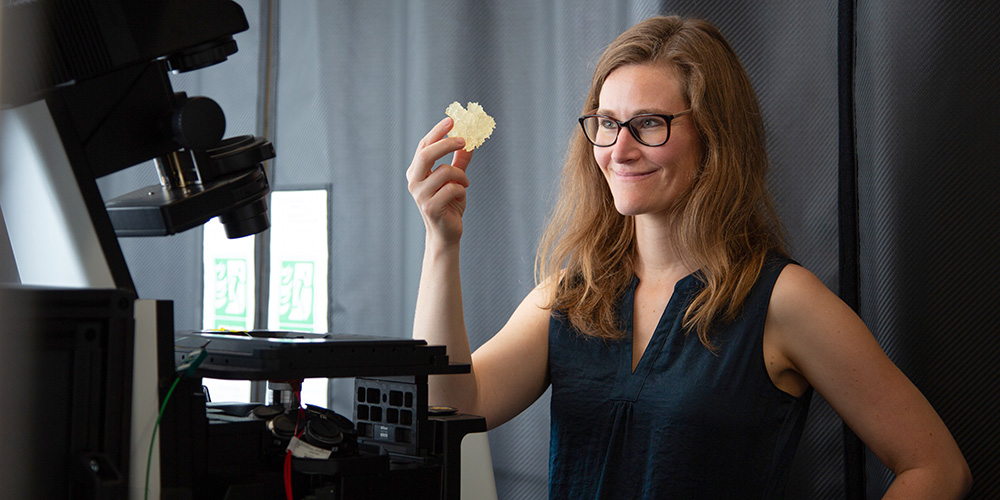 Prof. Dr. Sonja Schmid Prof. Dr. Sonja Schmid