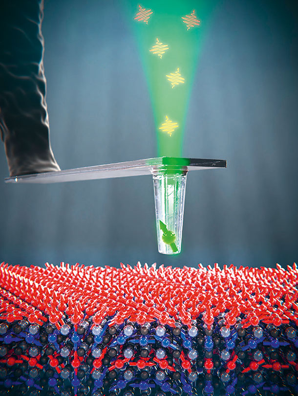 A diamond sensor on an atomic force microscope: the spin (arrow) of free electrons changes within the diamant tip when excited by external electric or magnetic fields. The electrons emit a light signal that can be detected. These quantum sensors can deliver precise images on the nanoscale. (Illustration: University of Basel, Department of Physics) A diamond sensor on an atomic force microscope: the spin (arrow) of free electrons changes within the diamant tip when excited by external electric or magnetic fields. The electrons emit a light signal that can be detected. These quantum sensors can deliver precise images on the nanoscale. (Illustration: University of Basel, Department of Physics)