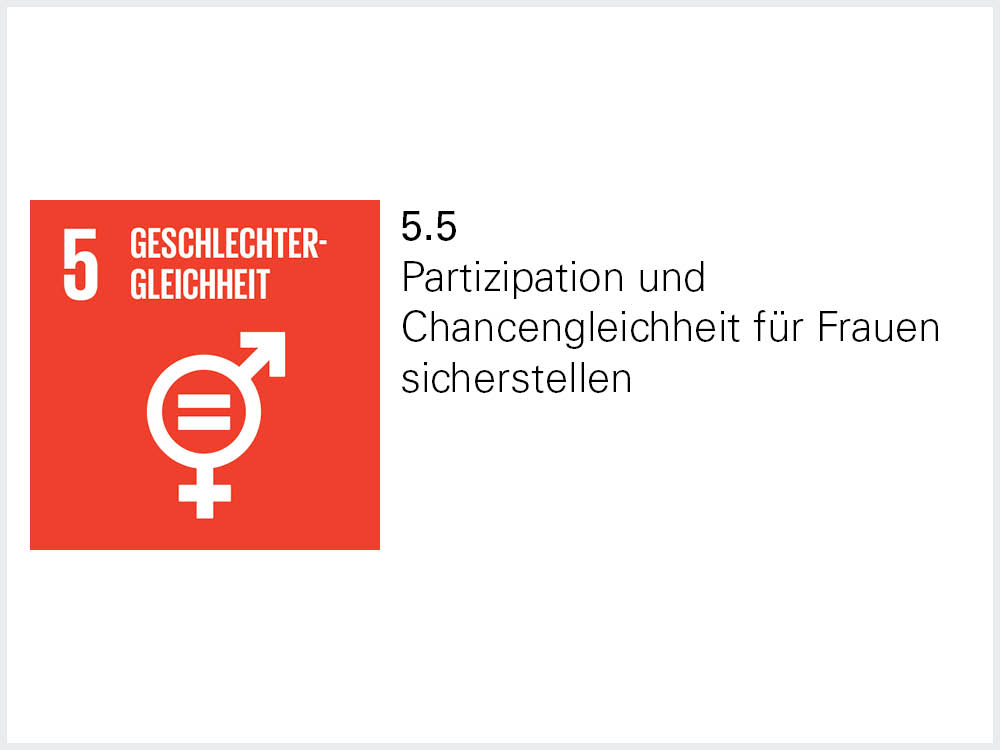 Sustainable Development Goal 5.5 Sustainable Development Goal 5.5