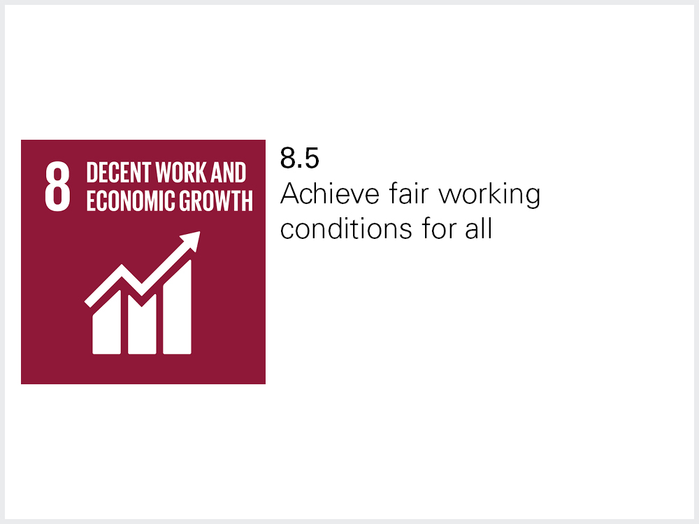 Sustainable Development Goals 8.5 Sustainable Development Goals 8.5