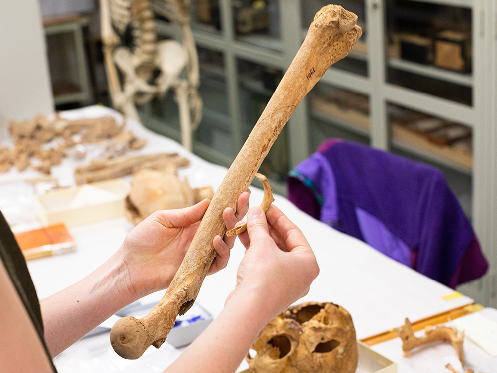 Margaux Depaermentier holding a tigh bone an a rib. Margaux Depaermentier holding a tigh bone an a rib.